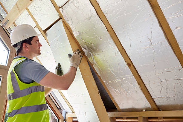 Best Insulation Installation Services in Castalia, OH