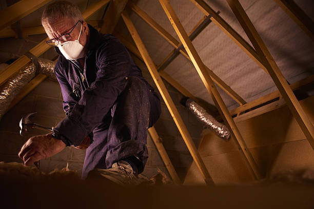 Best Insulation Maintenance and Repair in Castalia, OH